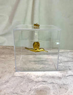 Caixa de Acrílico Beija Flor Flutuando ( prata ou dourado)