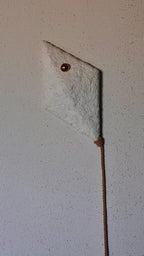 Pipa