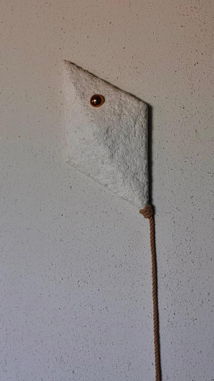 Pipa