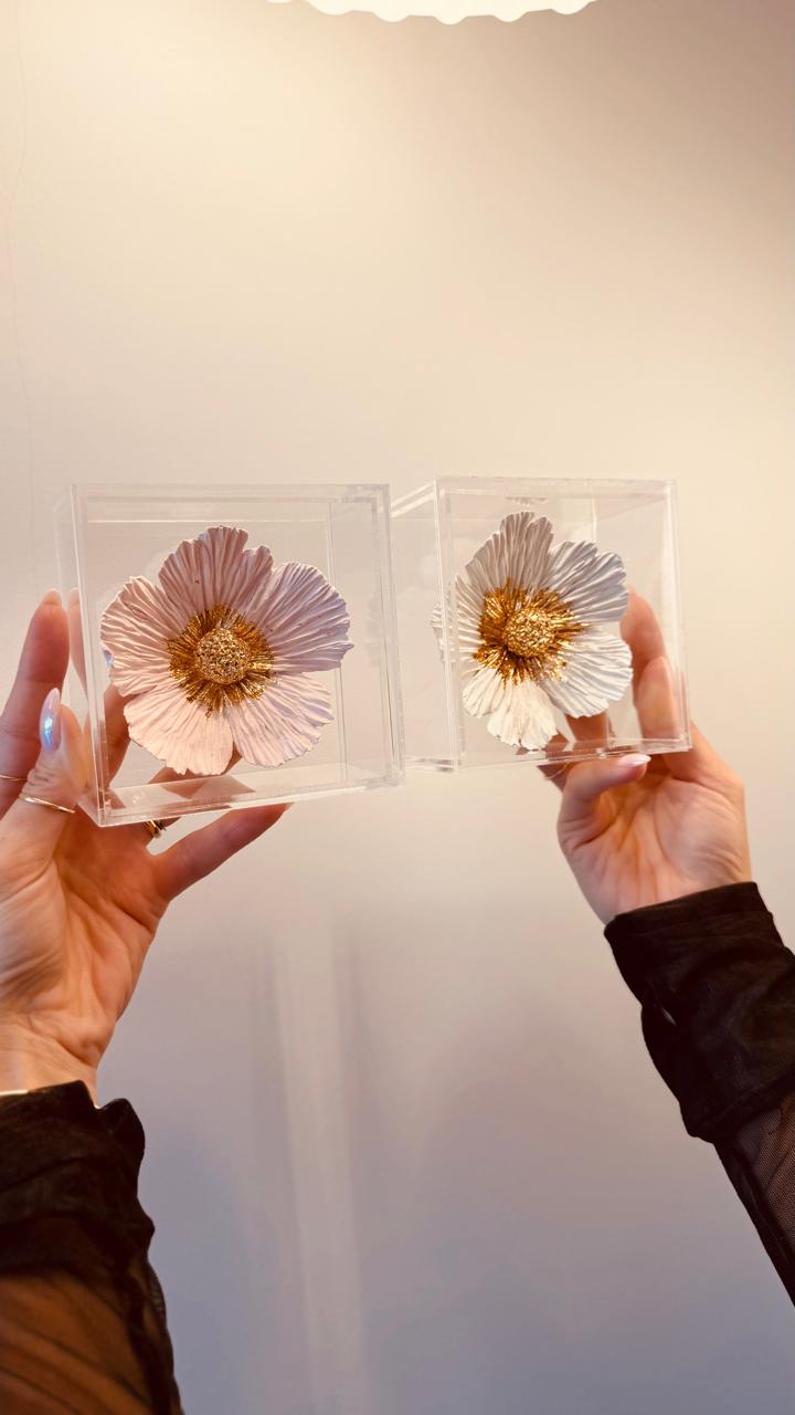 Composição Flor Névoa e Flor Aurora