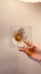 Flor Névoa - Branco