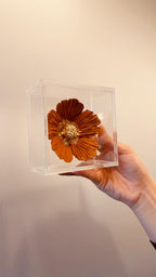 Composição Flor Terracota e Flor Oliva