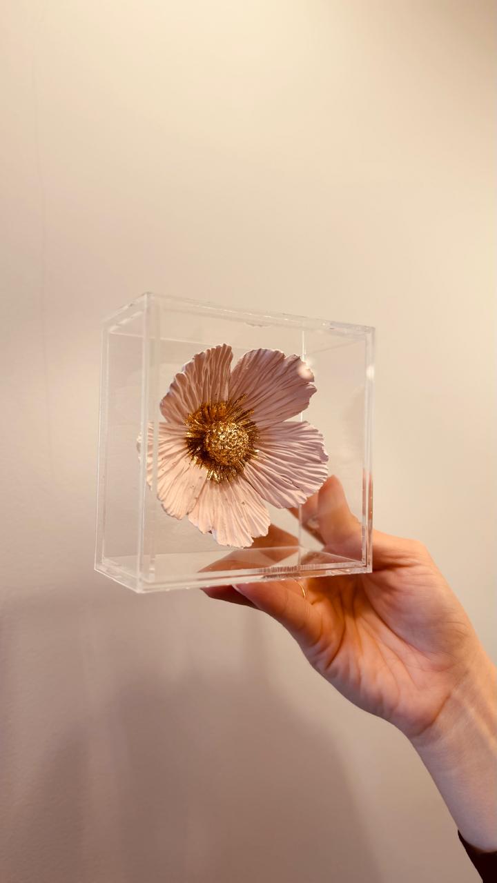 Composição Flor Névoa e Flor Aurora
