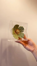 Flor Oliva - Verde