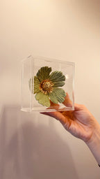 Composição Flor Terracota e Flor Oliva